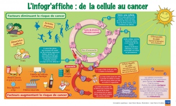 De la cellule au cancer