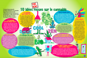 10 idées reçues sur le cannabis