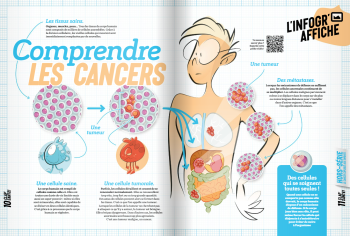 Comprendre les cancers