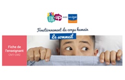 Le sommeil