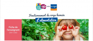 L'alimentation